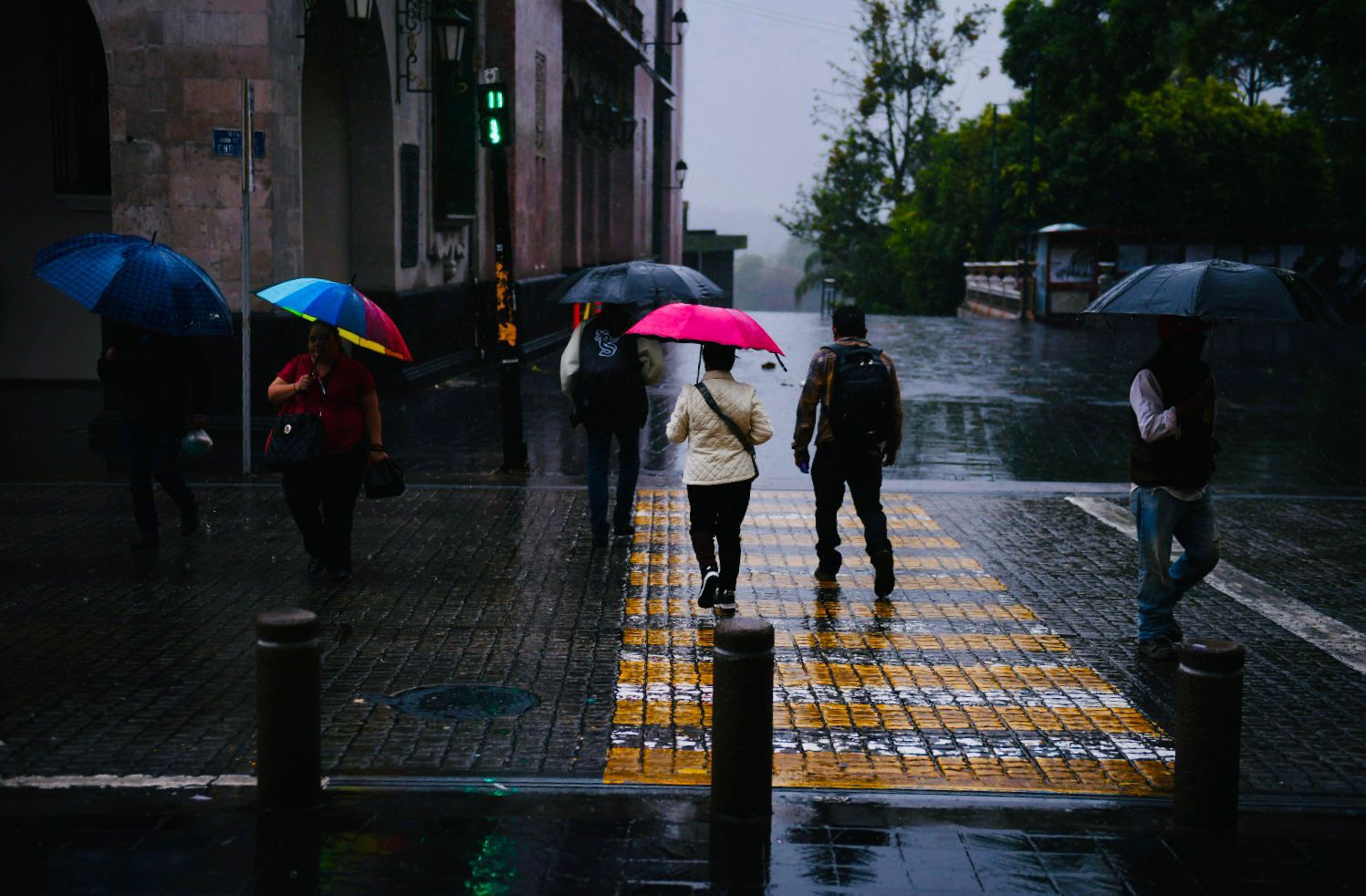 WhatsApp Image 2025-06-29 at 11.05.08 AM