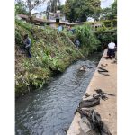 Realizan limpieza del arroyo “Quitacalzones” en la colonia Lázaro Cárdenas