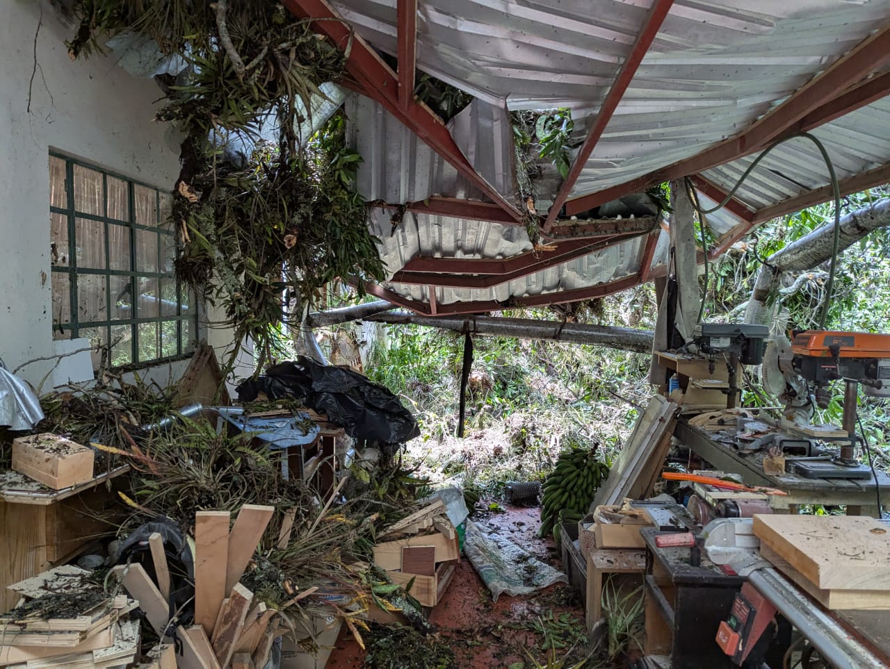 Cae árbol en vivienda de Coatepec y causa daños materiales daño en vivienda por árbol