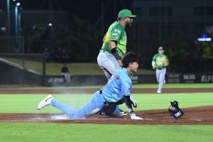 Pericos de Puebla vs Tigres