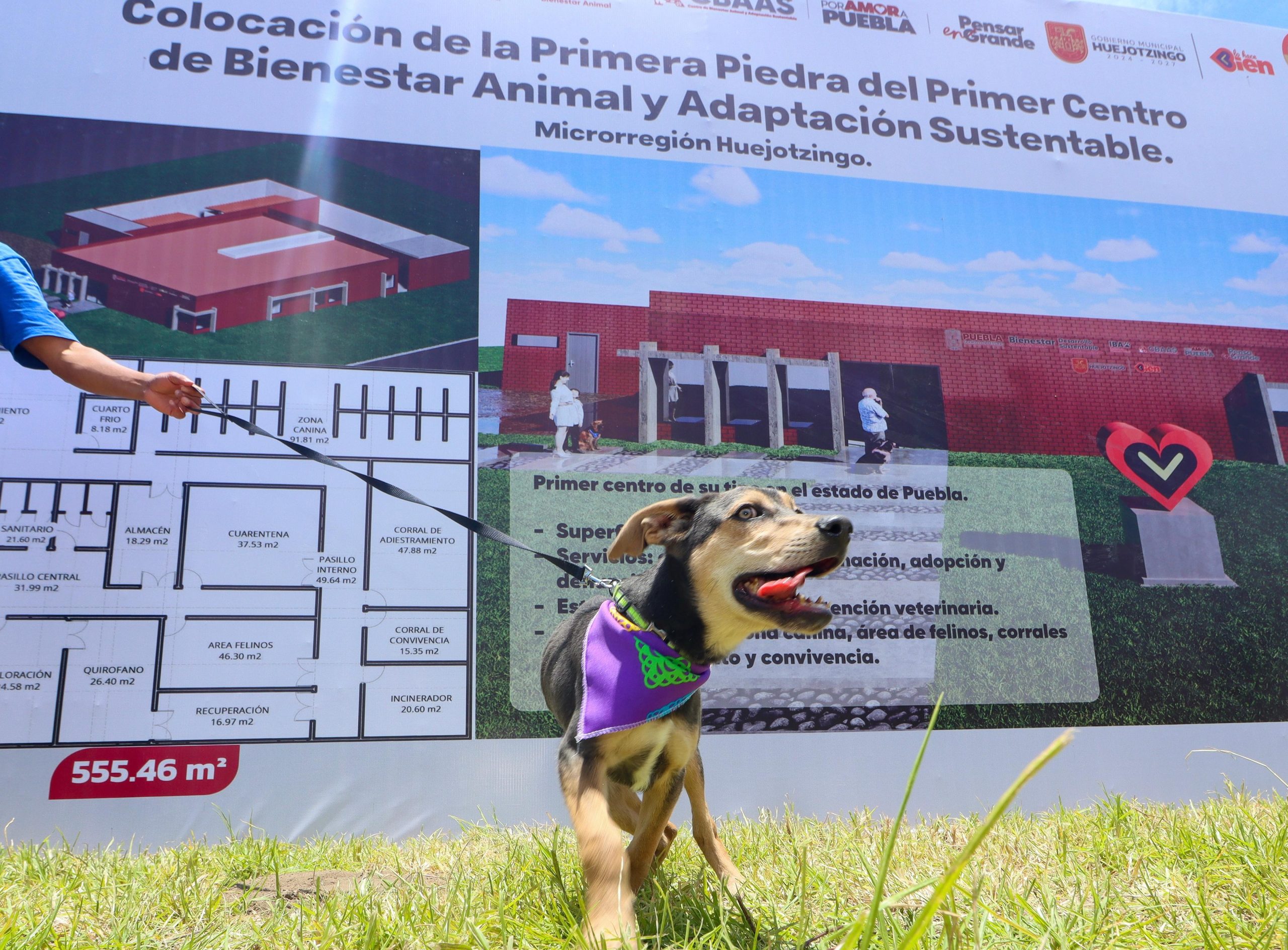 WhatsApp Image 2025-07-16 at 09.05.44