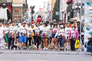 carrera con perros