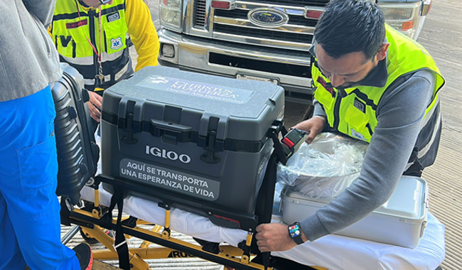 donación de órganos