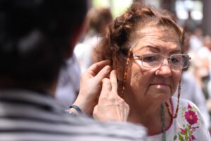 aparato auditivo