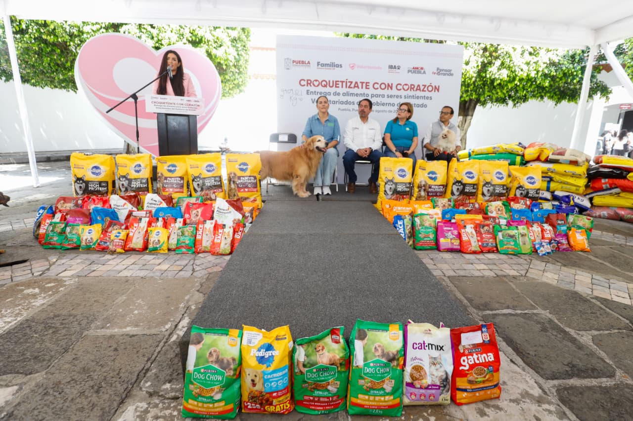 WhatsApp Image 2025-08-22 at 14.40.16