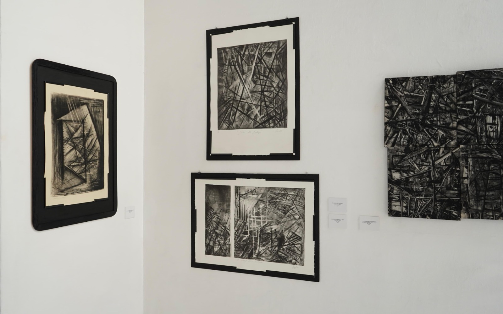 WhatsApp Image 2025-08-31 at 11.58.44