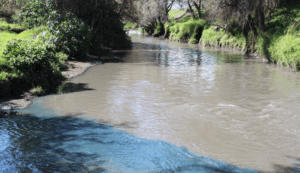 Río Atoyac