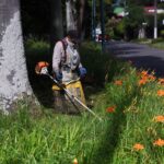Realiza Ayuntamiento Jornada Comunitaria de Mantenimiento de Áreas Verdes