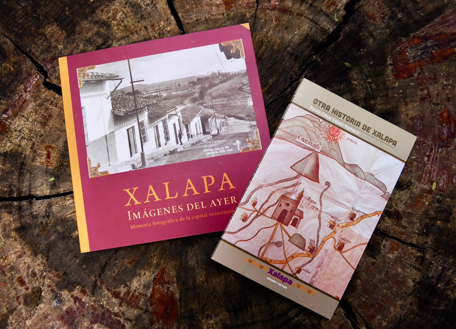 WhatsApp Image 2025-09-11 at 19.50.40