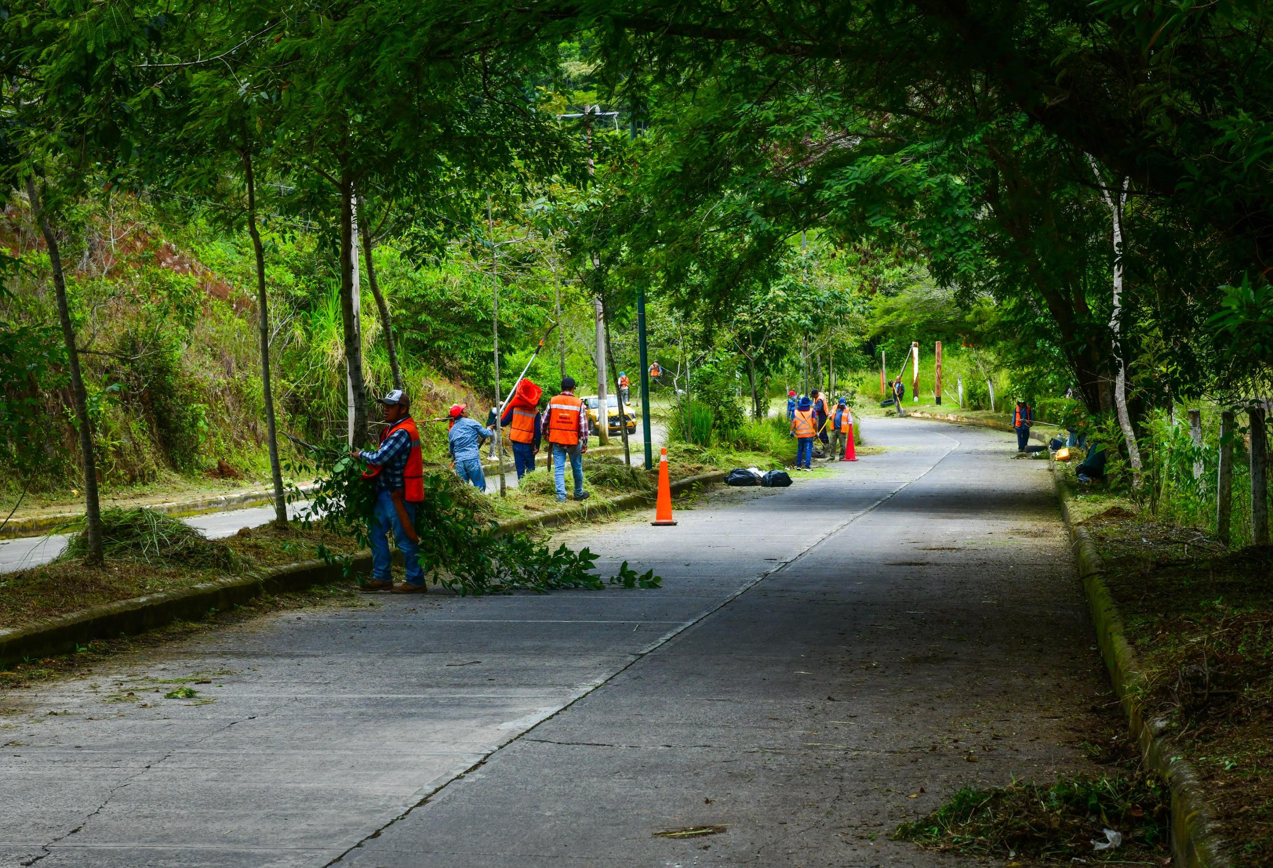 Con apoyo de la ciudadanía, continúan las acciones de recuperación de áreas verdes áreas verdes