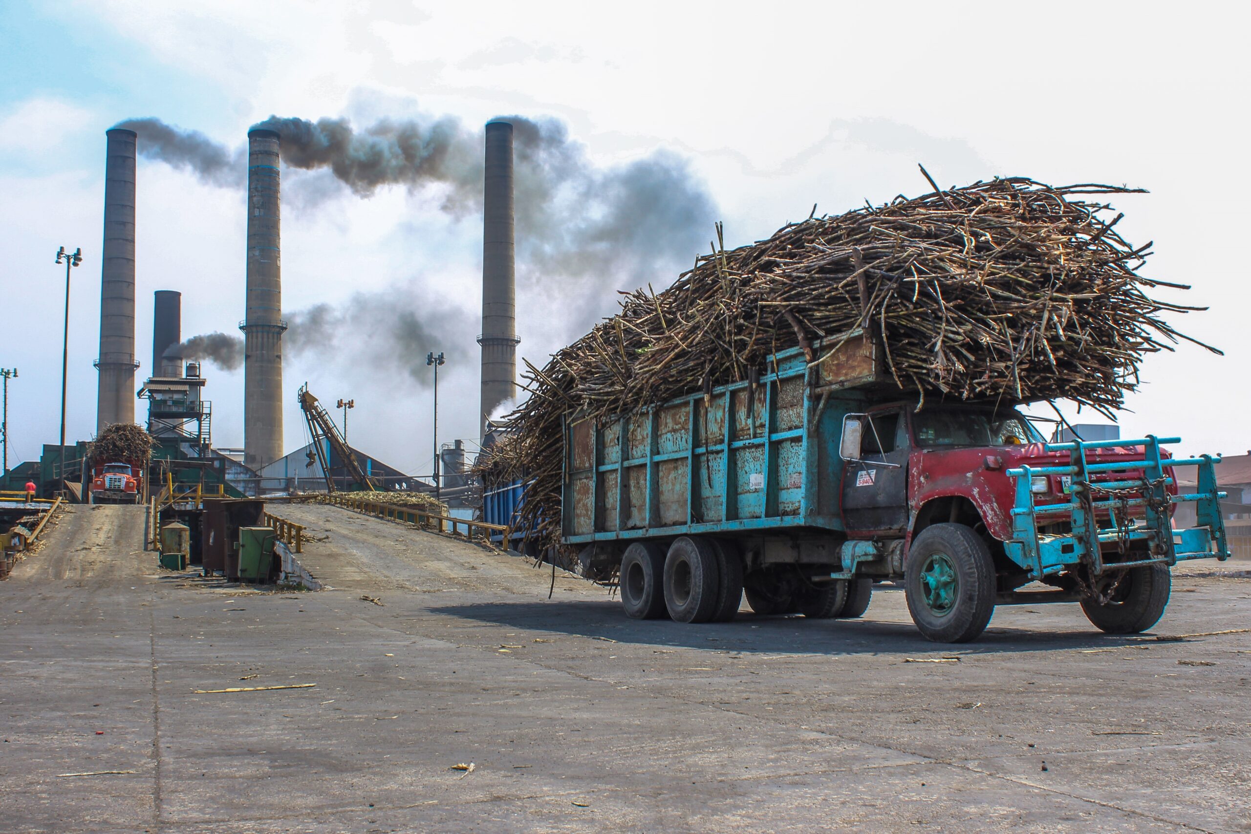 Sector azucarero mexicano se activa para producir alcohol y gel antibacterial