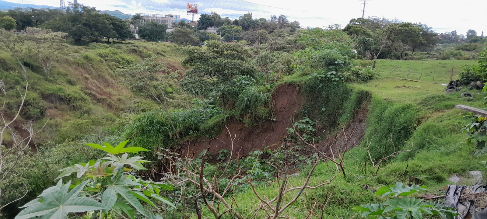 WhatsApp Image 2025-10-10 at 15.11.11