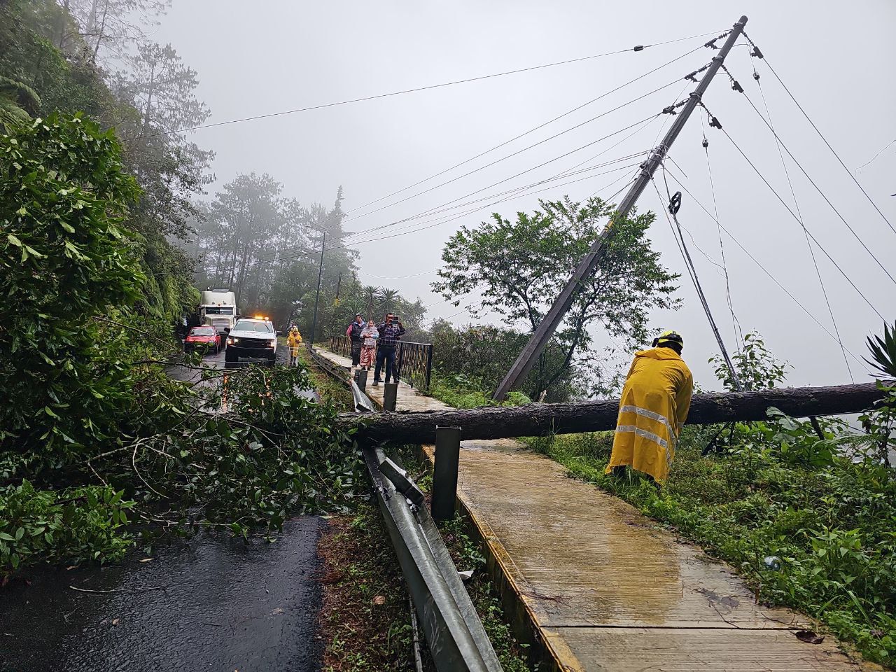 WhatsApp Image 2025-10-11 at 15.51.54