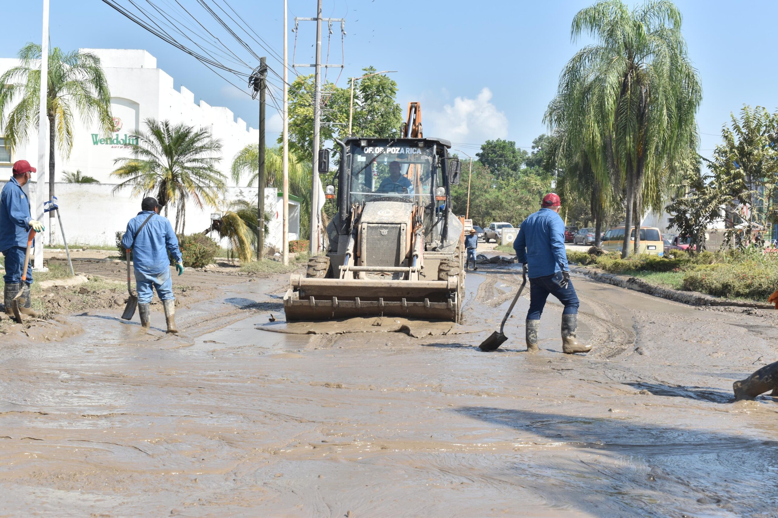 WhatsApp Image 2025-10-19 at 9.51.43 AM