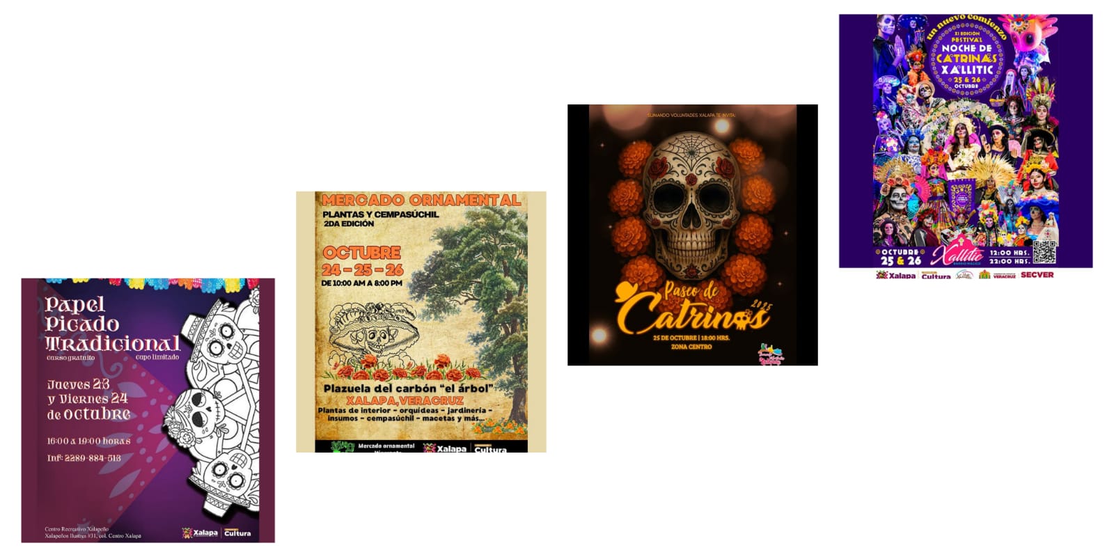 WhatsApp Image 2025-10-20 at 12.54.14