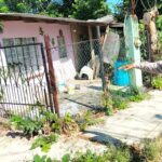 Cada casa, una historia: brigadistas acompañan la reconstrucción en Poza Rica