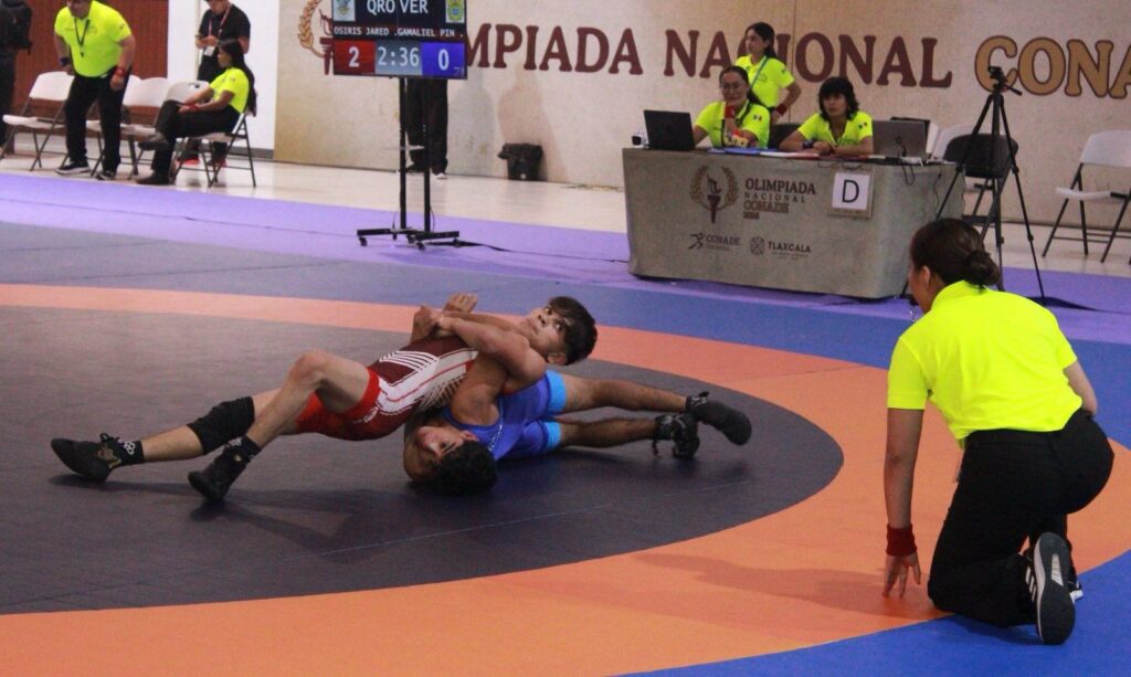 WhatsApp Image 2025-10-31 at 17.43.47