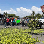 Defiende a limoneros; lo torturan y ejecutan