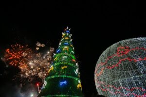 árbol de navidad-Chignahuapan