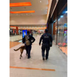 Veracruz mantiene jornadas de Buen Fin sin incidentes relevantes: SSP