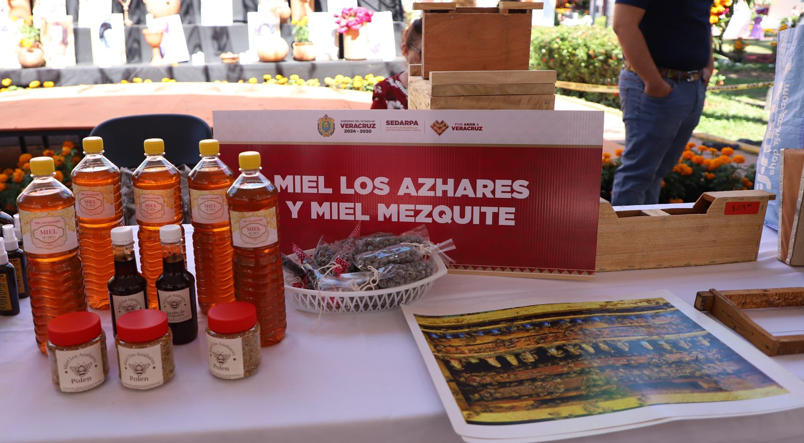 Entrega Sedarpa Fomento Apícola y Meliponicultura para incrementar la producción de miel miel