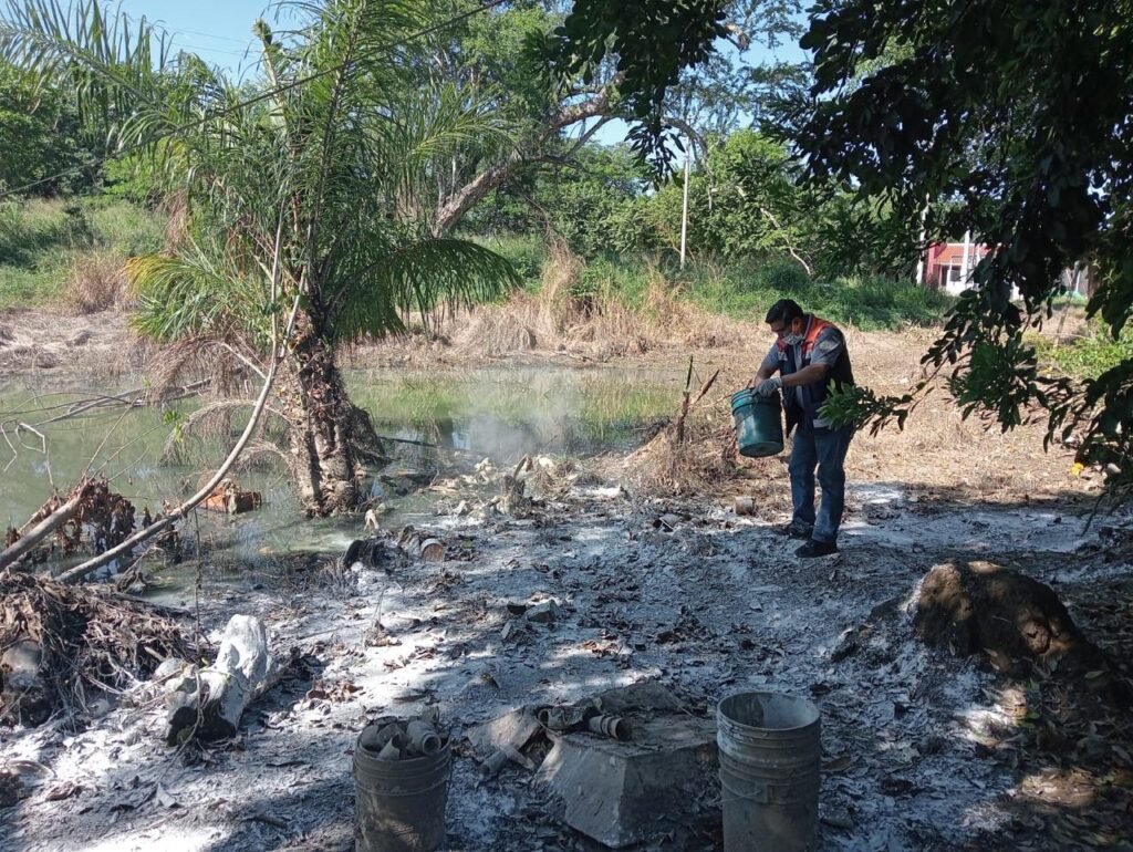 WhatsApp Image 2025-11-04 at 8.44.55 PM