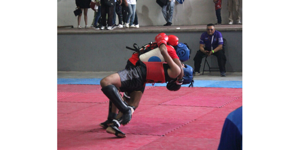 Artes marciales