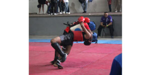 Artes marciales