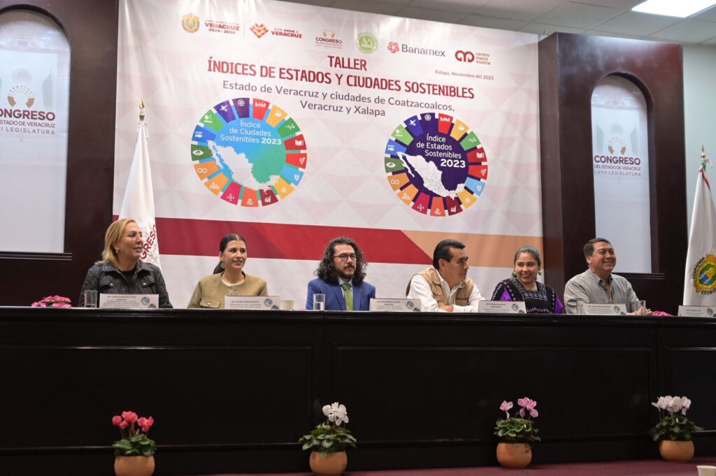 WhatsApp Image 2025-11-12 at 16.17.38