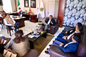 WhatsApp Image 2025-11-12 at 16.51.06