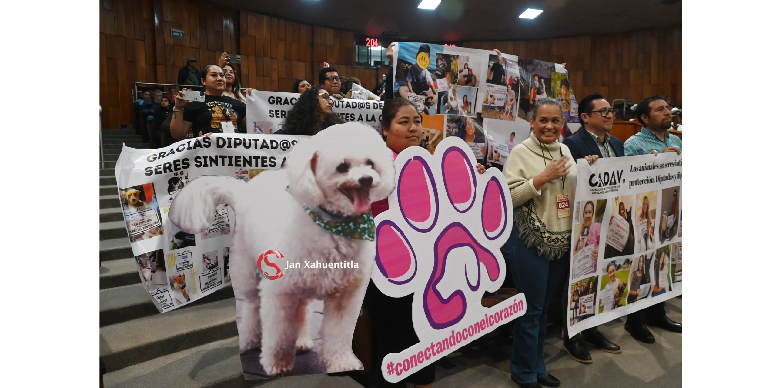 Congreso eleva a rango constitucional la protección a los animales seres sintientes