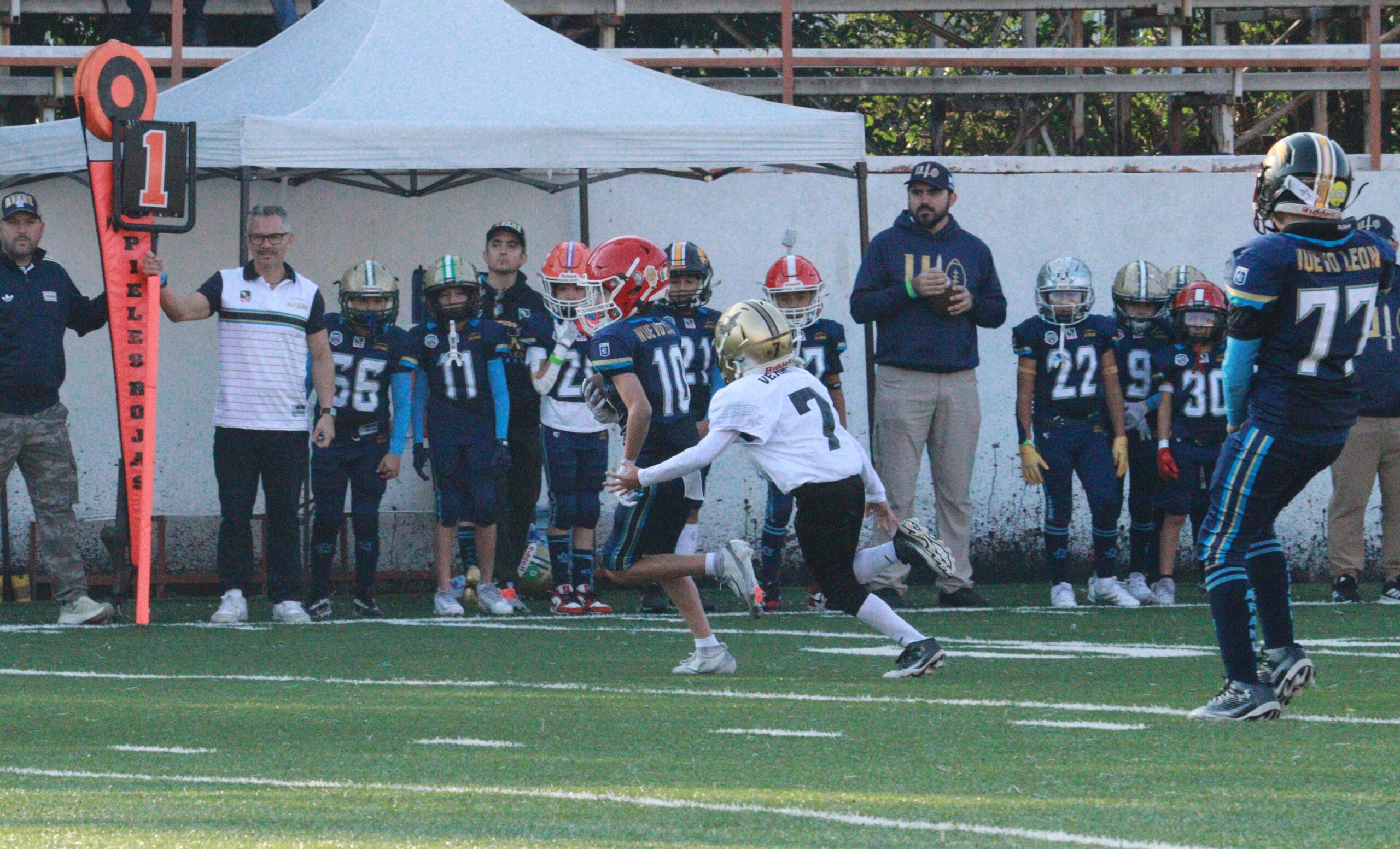 Veracruz U10 destaca en el 4° Nacional Infantil Tackle; participan niños de Zorros Dorados, Halcones UV, Linces y Mexicas IMG_2704
