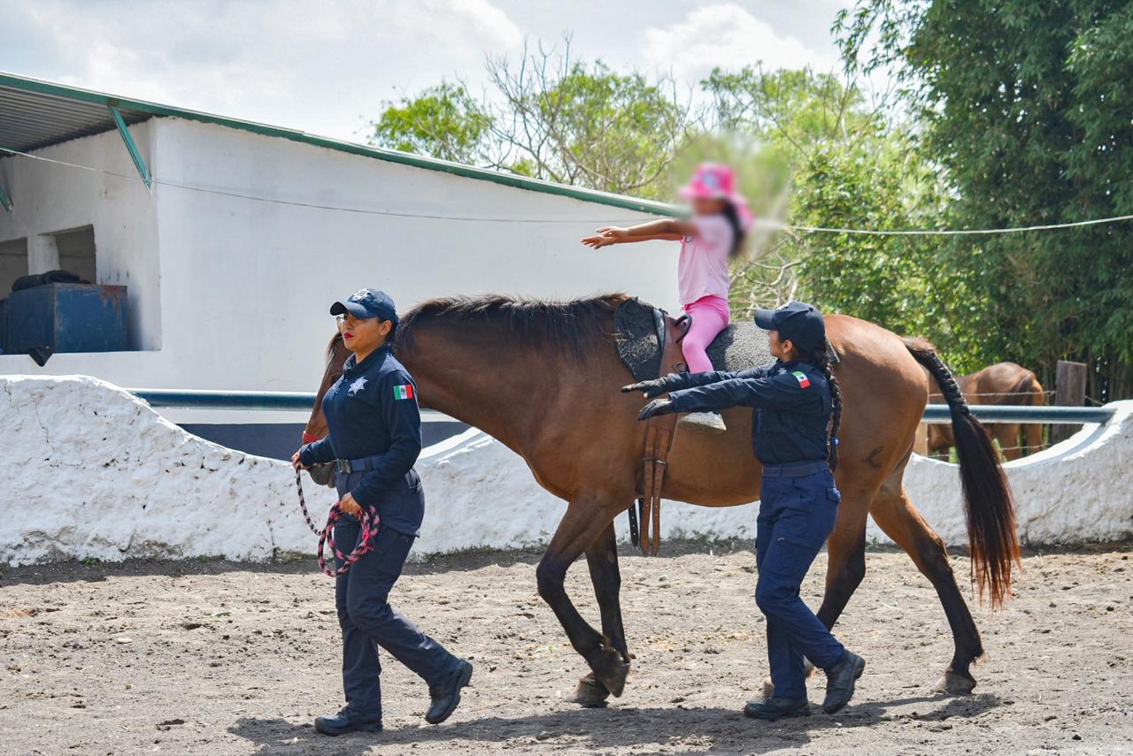 Equinoterapia