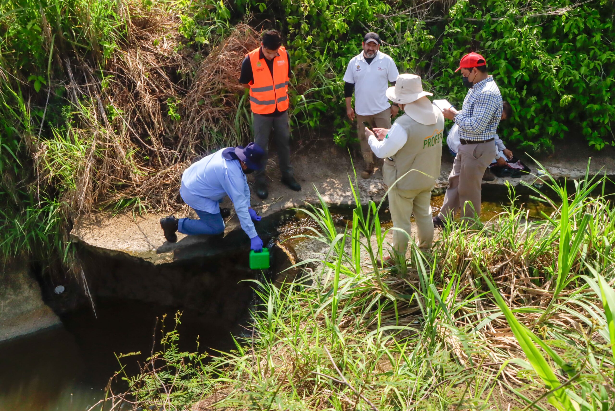 Inspecciones, monitoreo ambiental y operativos en el sur de Veracruz: PMA monitoreo ambiental