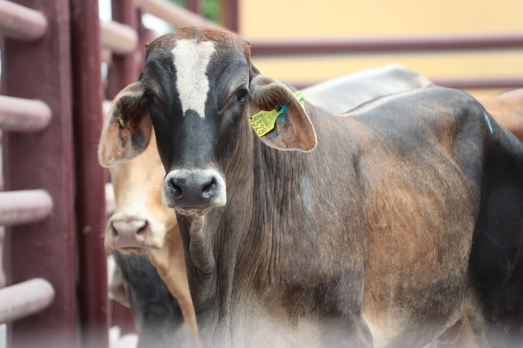 WhatsApp Image 2025-12-07 at 7.46.10 PM