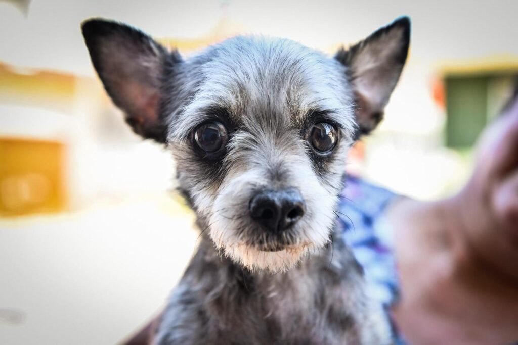 WhatsApp Image 2025-12-08 at 12.14.48 PM