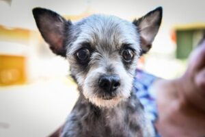 WhatsApp Image 2025-12-08 at 12.14.48 PM