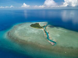 WhatsApp Image 2025-12-10 at 4.08.42 PM