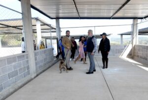 WhatsApp Image 2025-12-19 at 19.40.39