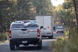 Abrigando corazones-frío