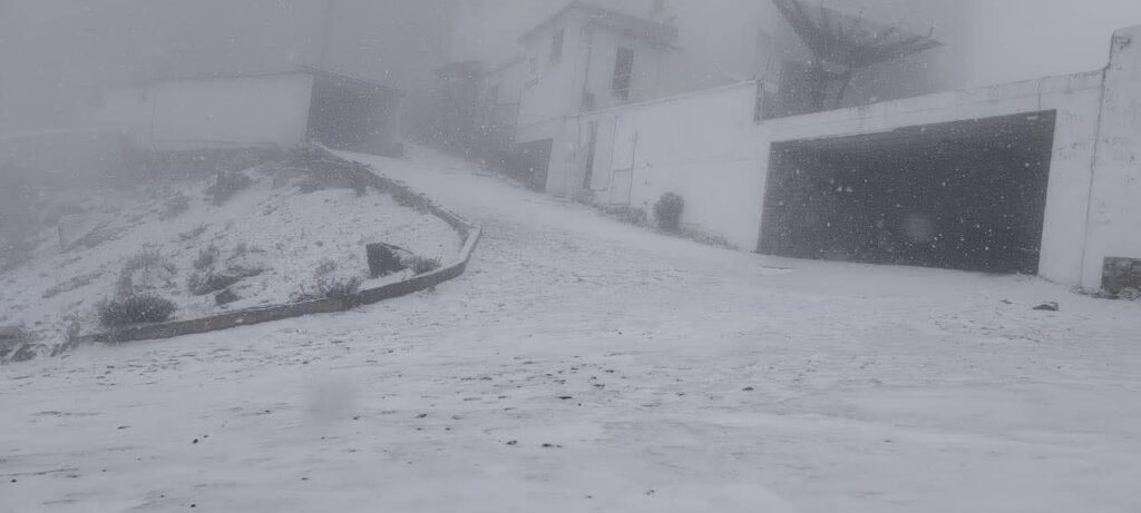 nieve