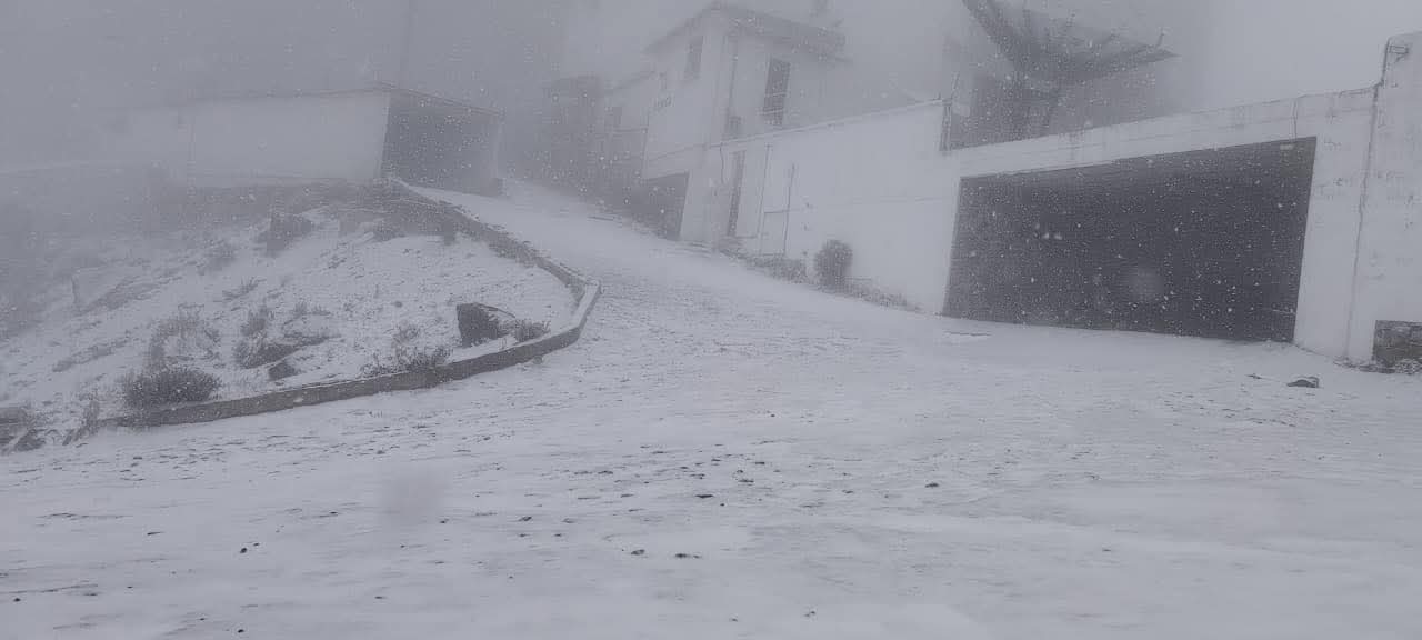 nieve