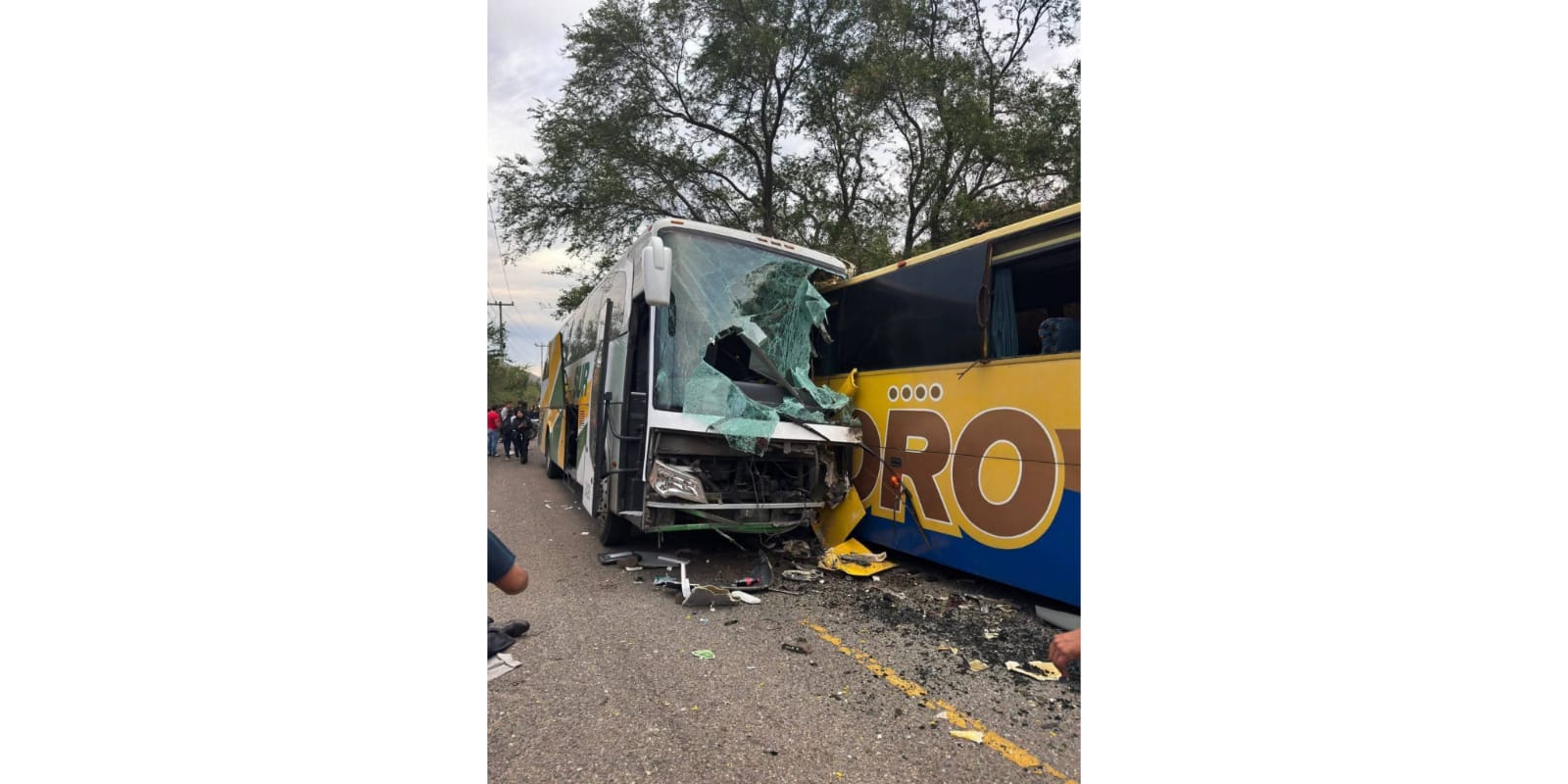 Gobierno de Tlapa brinda apoyo solidario ante accidente en la carretera Tlapa–Puebla WhatsApp Image 2025-12-26 at 17.28.47