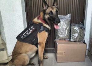 WhatsApp Image 2025-12-27 at 8.57.45 AM