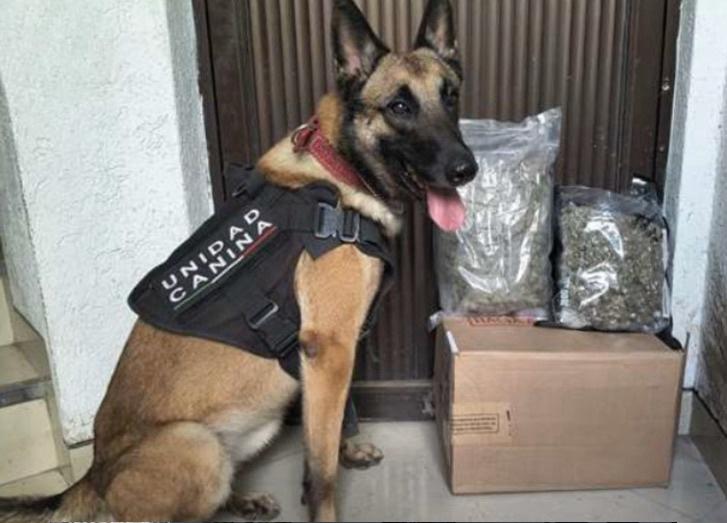 WhatsApp Image 2025-12-27 at 8.57.45 AM