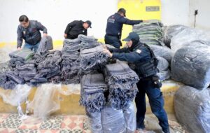 WhatsApp Image 2025-12-27 at 9.34.55 AM