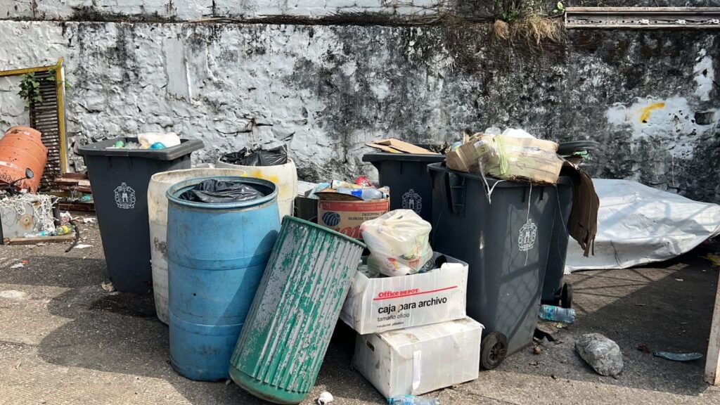 WhatsApp Image 2025-12-30 at 7.21.35 PM