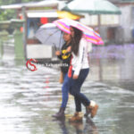 Activa PC Alerta Gris por entrada de Frente Frío 19 a Veracruz