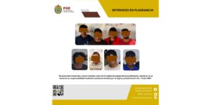 WhatsApp Image 2026-01-05 at 21.02.11