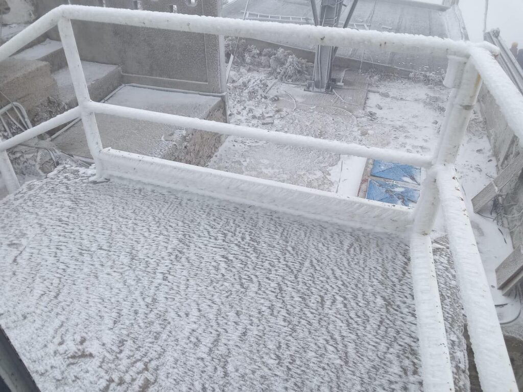 WhatsApp Image 2026-01-11 at 1.10.00 PM